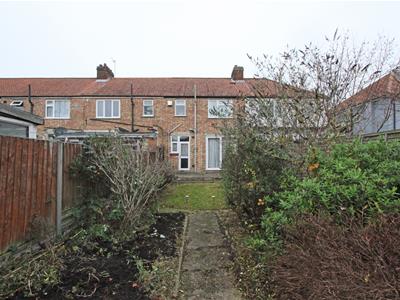 Picture 20